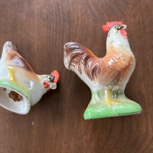 Chicken and rooster
